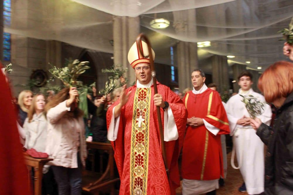 Obispo de Mar del Plata presidió la celebración del “Domingo de Ramos”