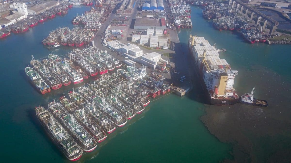 Consorcio adjudicó a TC2 la Terminal Portuaria en muelle 2 del puerto