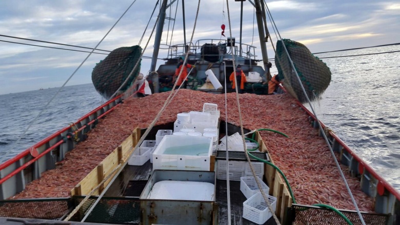 Nueva evaluación de merluza negra a bordo de un buque pesquero comercial