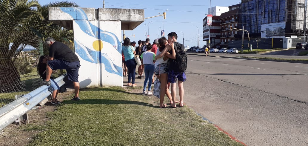 En plena temporada, Mar del Plata casi se queda sin colectivos