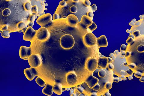 Coronavirus: las últimas novedades sobre esta enfermedad