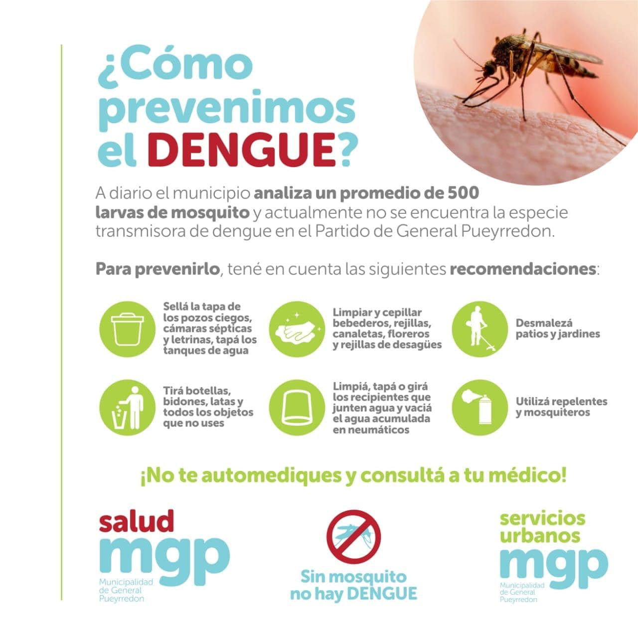 Autoridades afirman que “no hay mosquito del dengue en el Partido de General Pueyrredon”