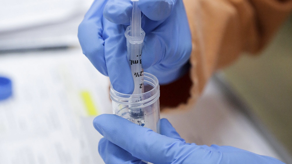 Un laboratorio europeo espera disponer de una vacuna contra el coronavirus en septiembre