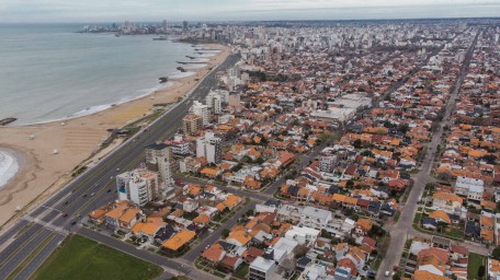 Insisten en la necesidad de una adecuada reforestación de Mar del Plata