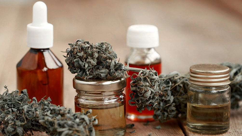 El Gobierno bonaerense presentó proyecto para la producción y comercialización de cannabis medicinal