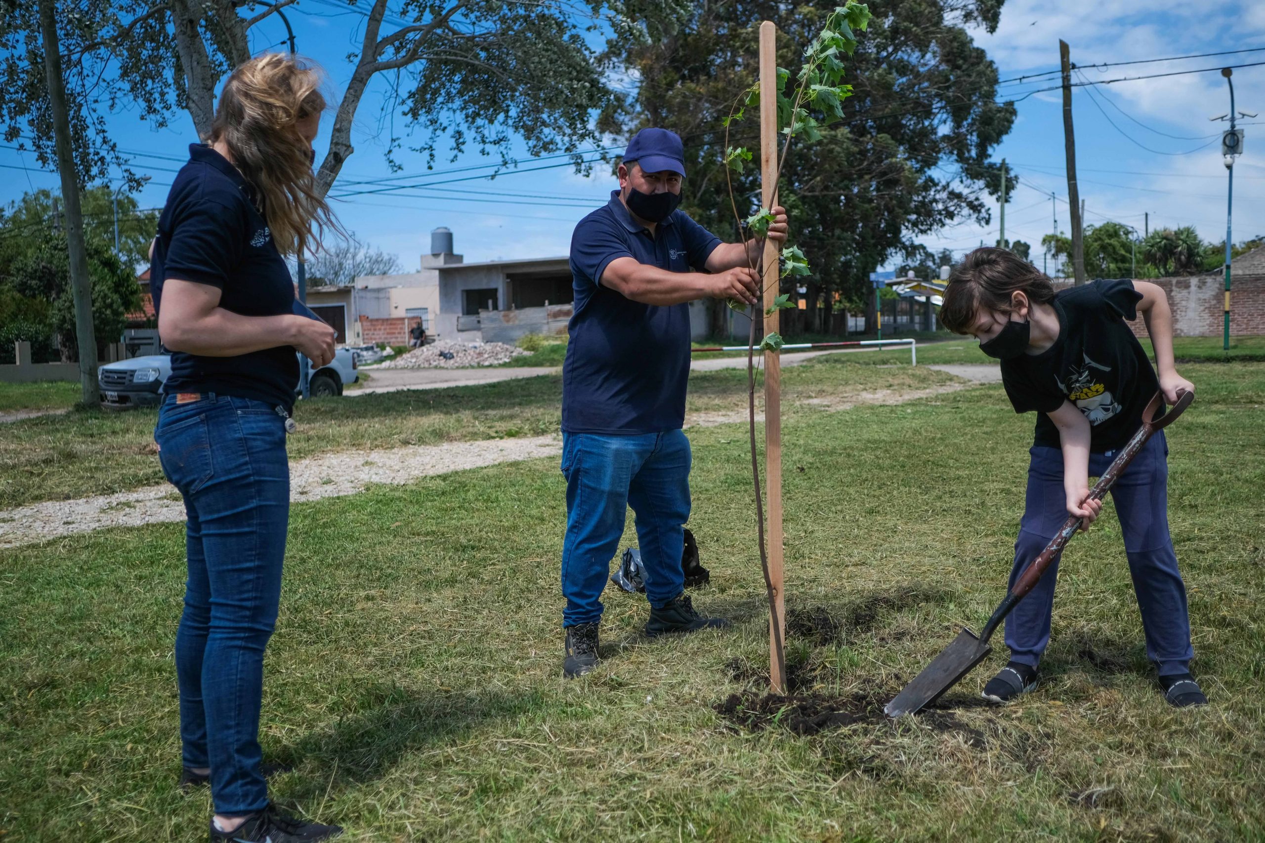 El Municipio lleva plantado más de 4 mil árboles en General Pueyrredon