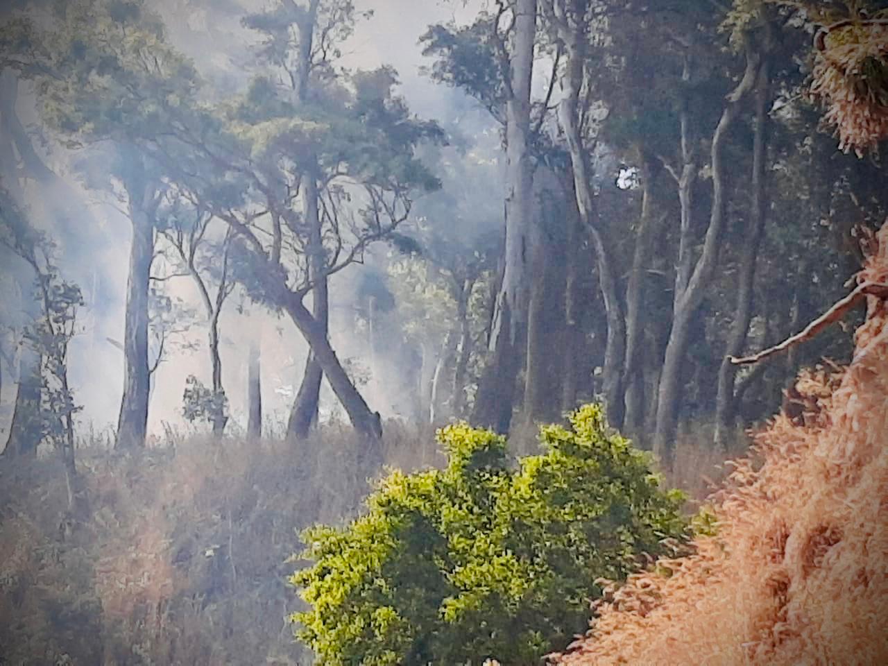 El municipio solicita extremar cuidados para evitar incendios forestales y de pastizales