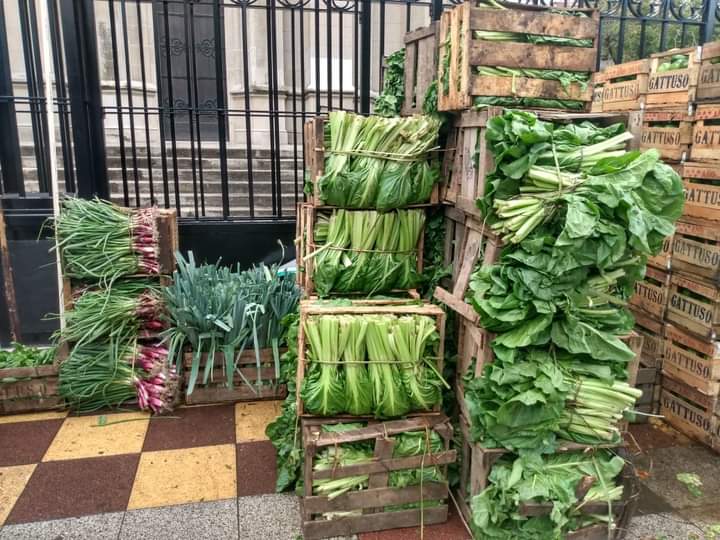 Pequeños productores realizaron un "verdurazo" en el centro de Mar del Plata
