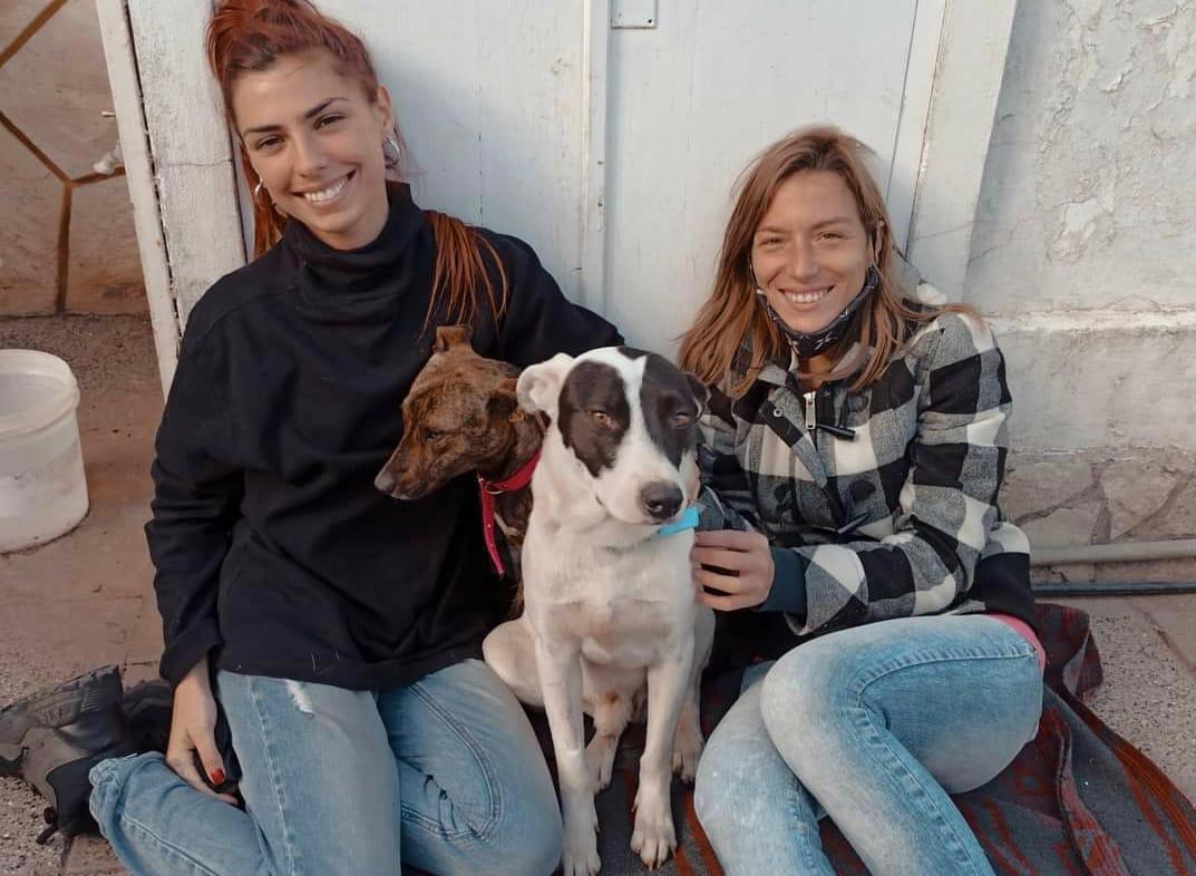 Fueron rescatados 4 perros de una vivienda por maltrato animal
