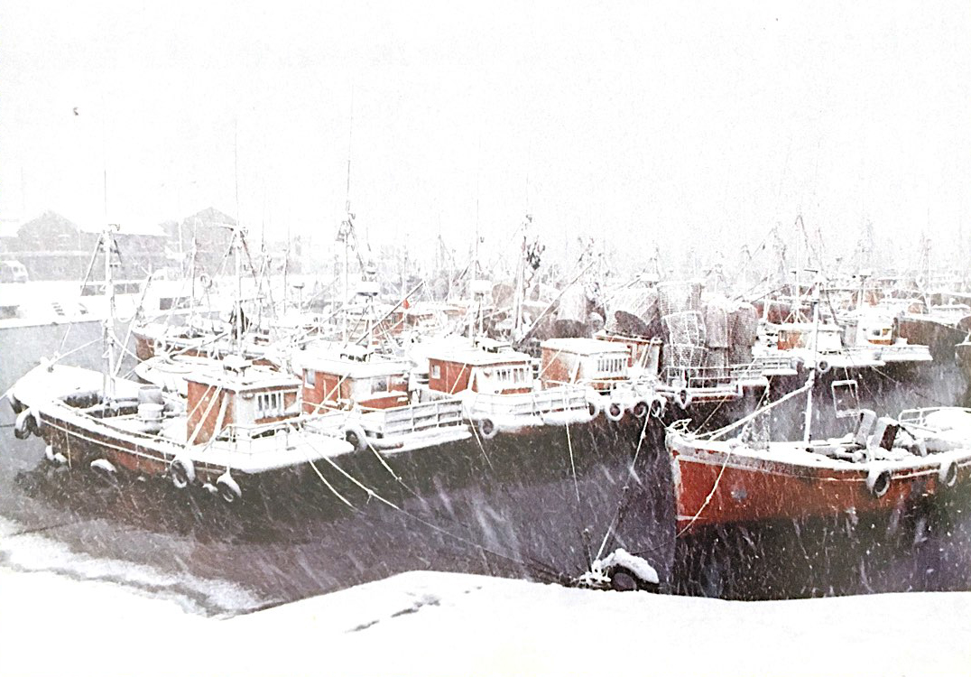 A 30 años de la gran nevada en Mar del Plata