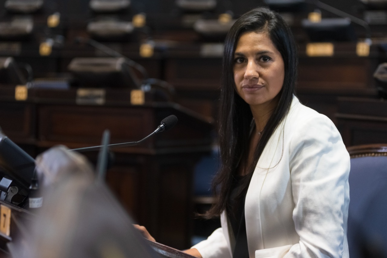 La legisladora marplatense Indarte lidera el ranking de Proyectos de Ley presentados
