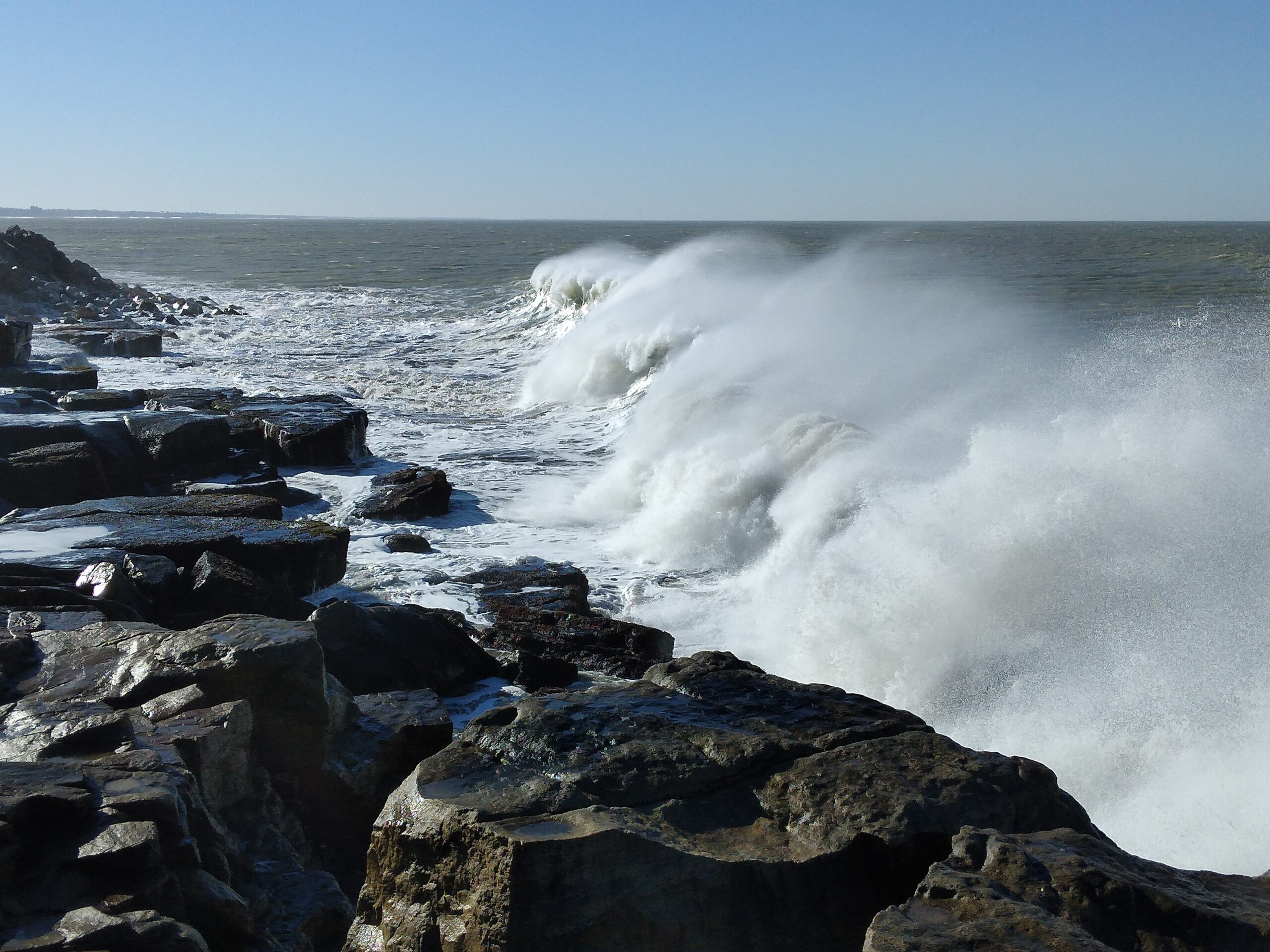 La temperatura del mar en Mar del Plata promedió los 20.5 grados durante enero