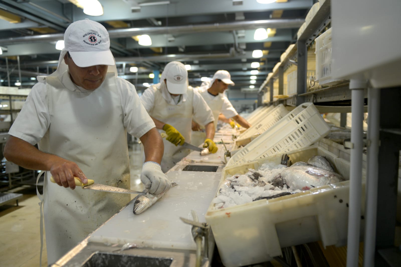 1 de Mayo: poco que festejar para los obreros del pescado