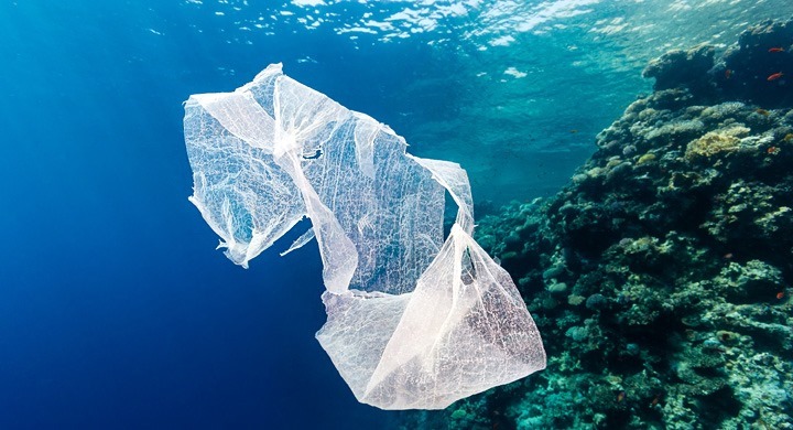 Mantero: “En Mar del Plata, las bolsas plásticas aún siguen contaminando"