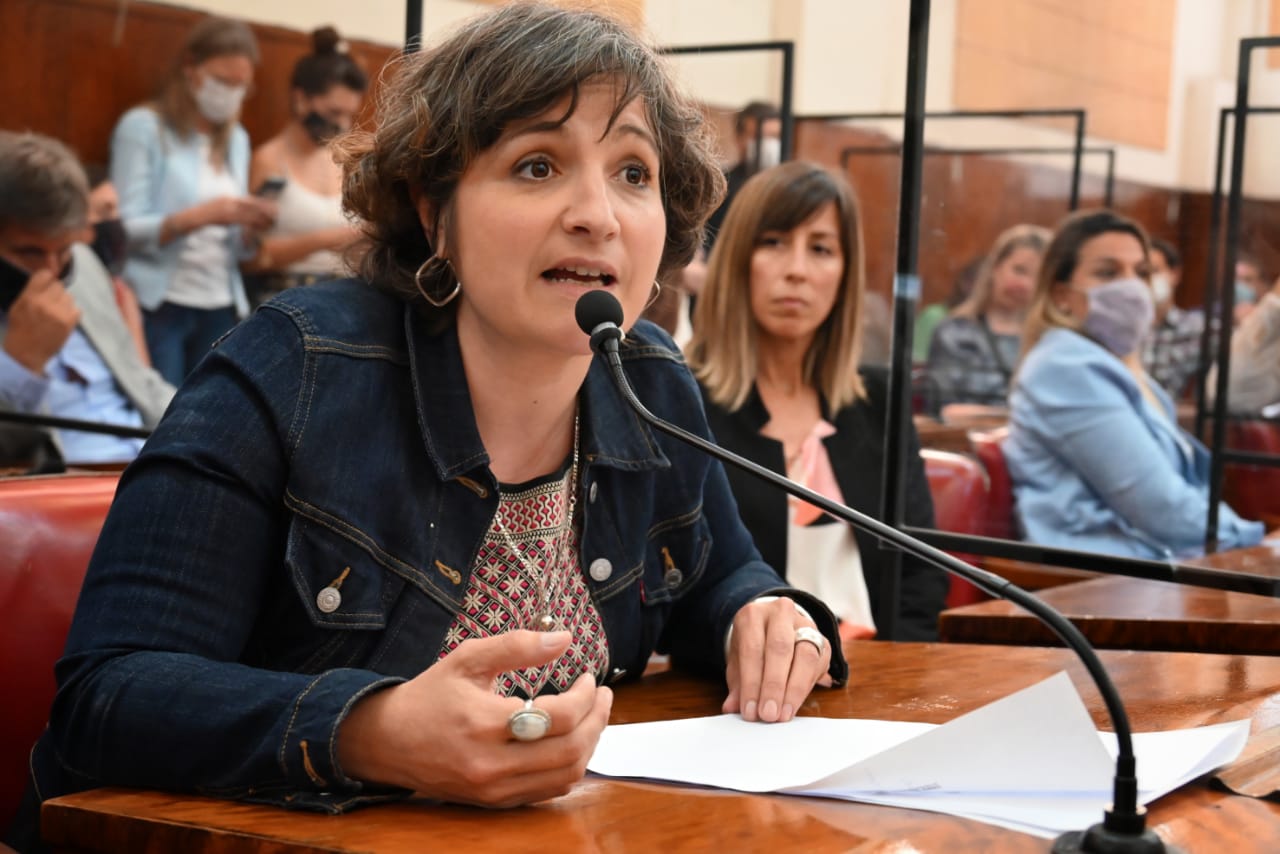 Santoro: "13 de 24 concejales no votamos a Marina Sanchez Herrero”