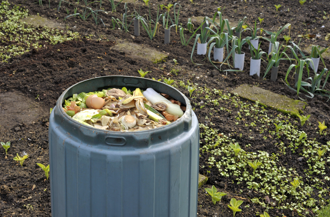 Promueven programa de compostaje comunitario para reducir residuos
