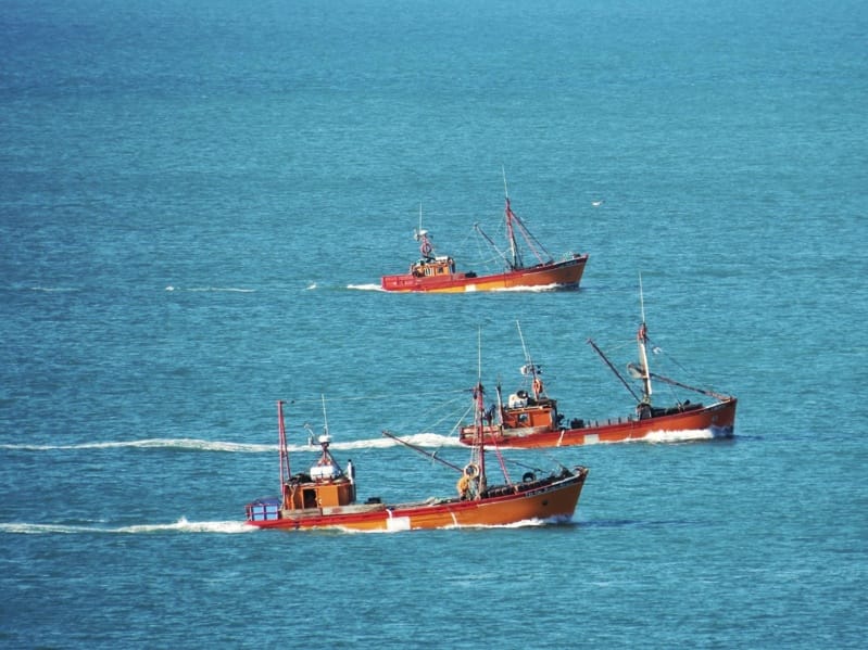 La justicia prohíbe la pesca de arrastre en las primeras 3 millas náuticas