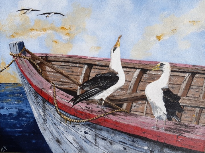Lanzan 3° Concurso de Dibujo y Pintura “Guardianes de las Aves Marinas”