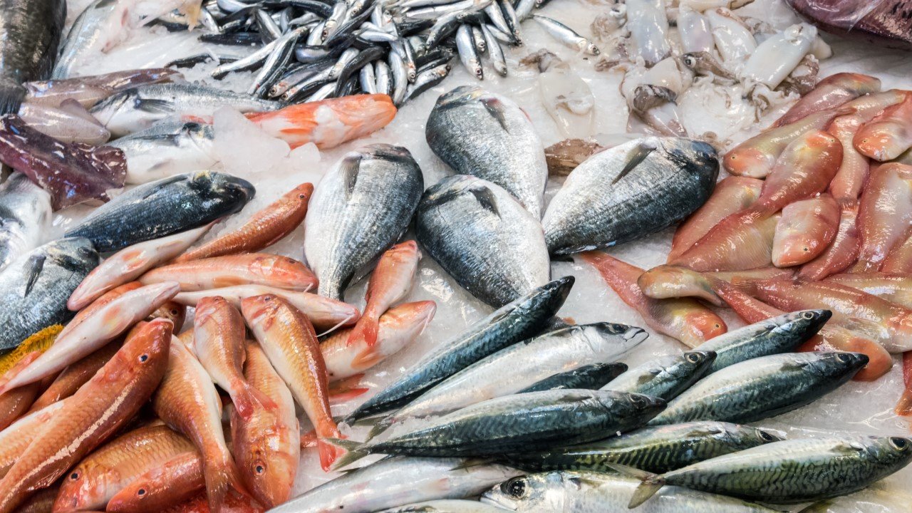 El Senasa brinda recomendaciones para el consumo seguro de pescado en Semana Santa