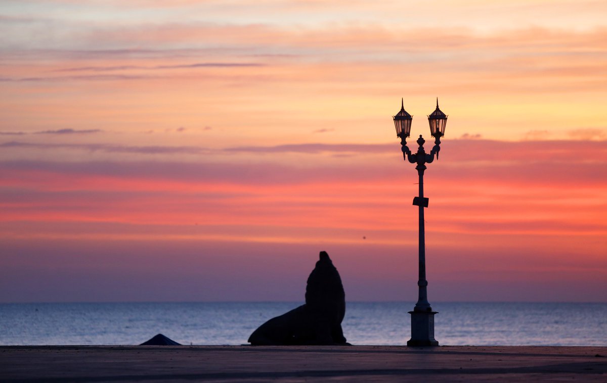 Mar del Plata vivió otro fin de semana largo con récord de turistas