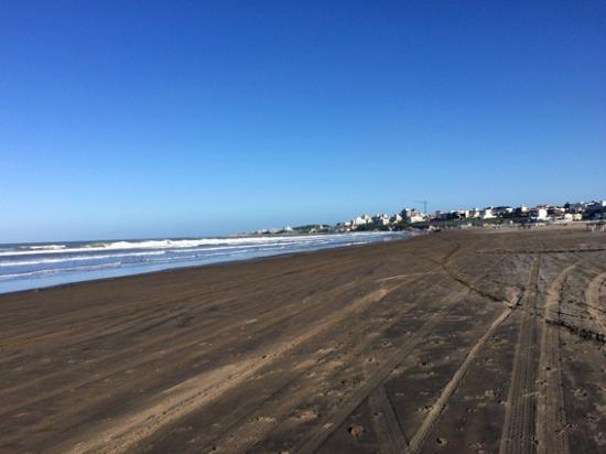 Jornada Ambiental con la comunidad científica en las playas de Punta Mogotes y Puerto