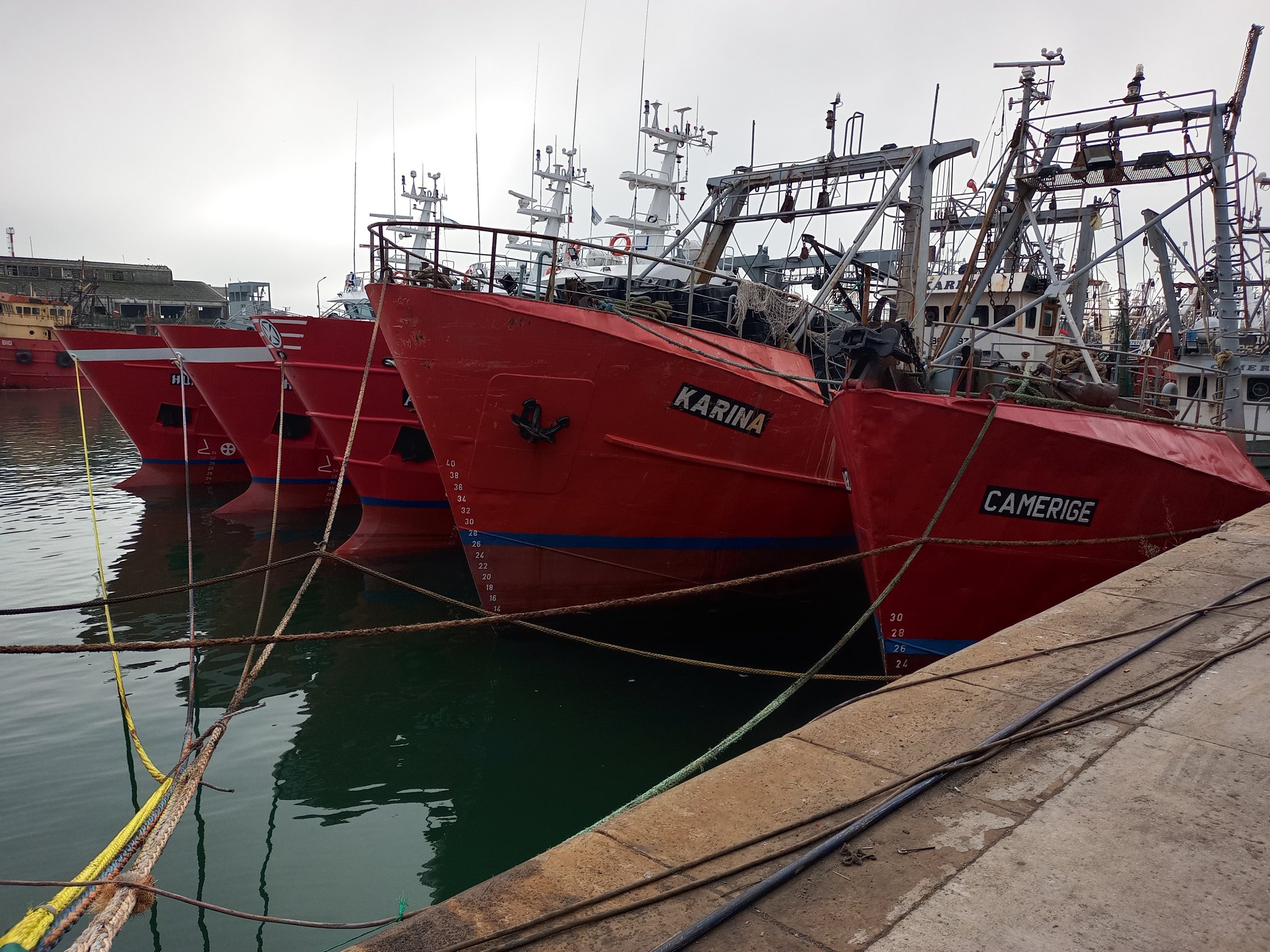 Recesión para la pesca deportiva en Mar del Plata - El Marplatense