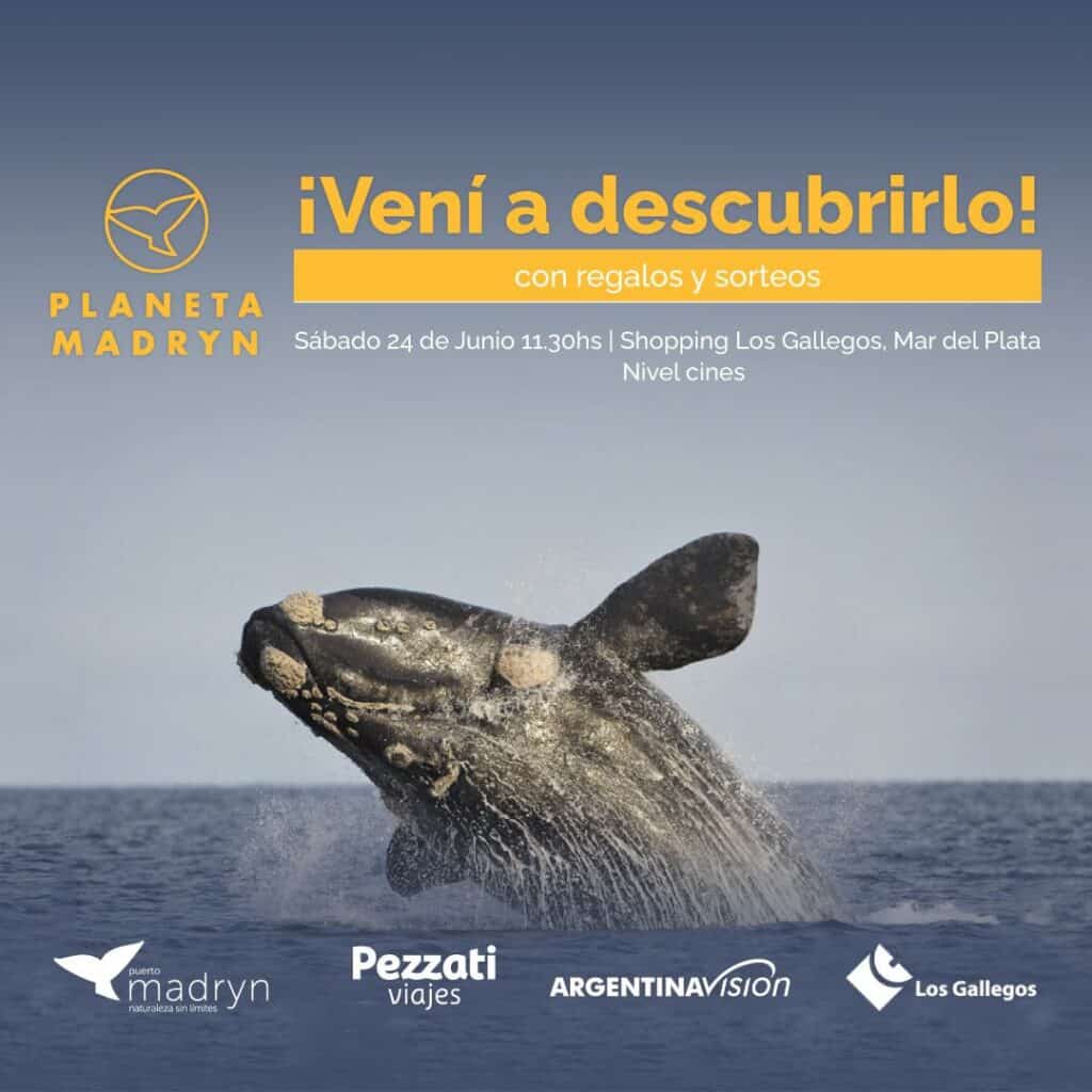 madryn
