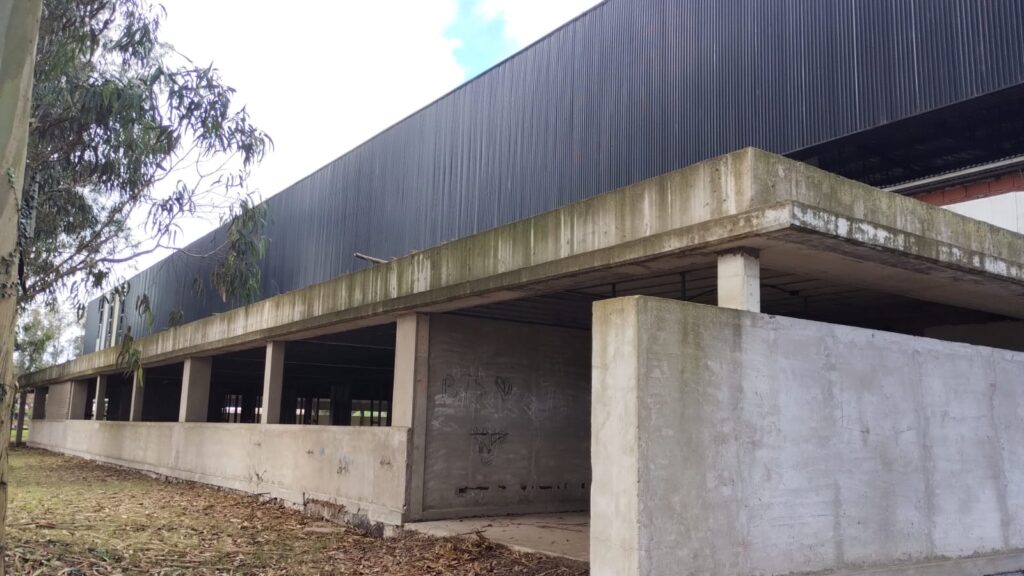 Polideportivo