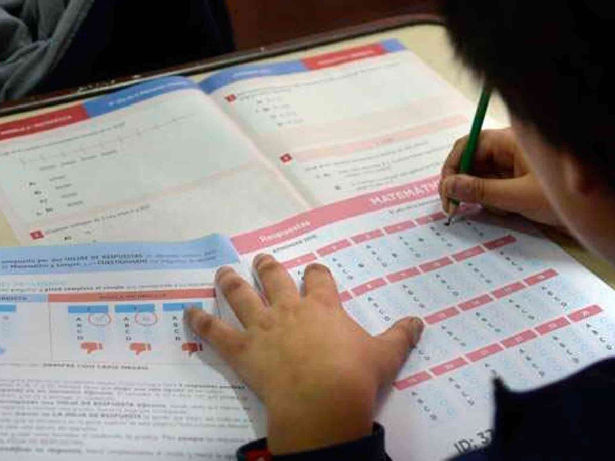 Resultados alarmantes: solo el 14,2% de los estudiantes aprobó Matemática en la Prueba Aprender 2024