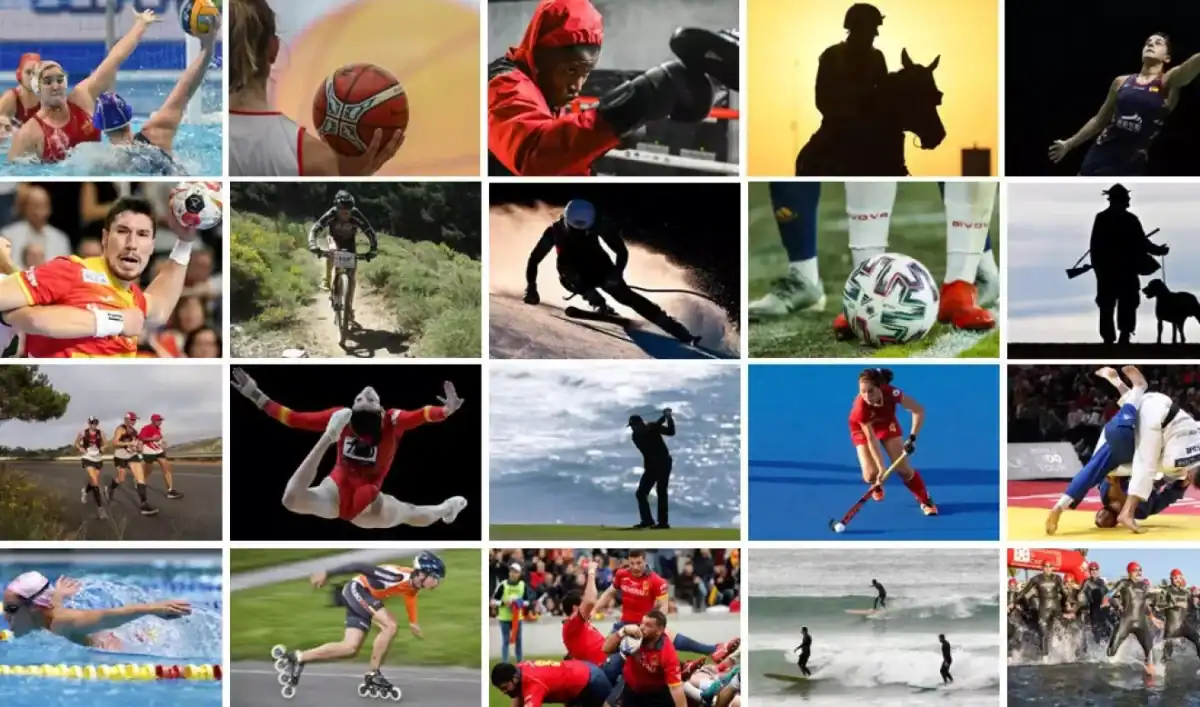 deportes mas elegidos