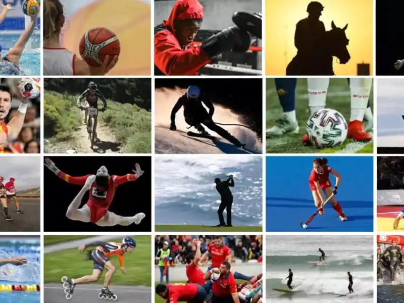 deportes mas elegidos
