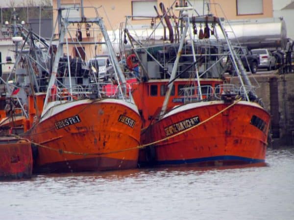 La pesca costera destacó el acceso a mercados internacionales para las pequeñas y medianas empresas