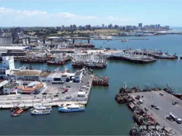 Una Consultora presentó un paquete de Emergencia para la Pesca