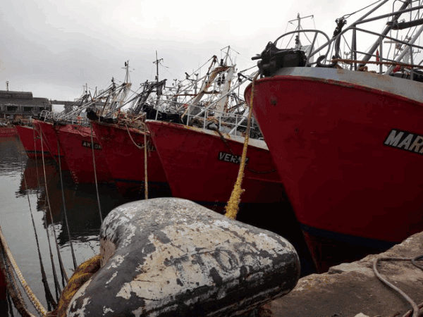 En busca del punto de equilibrio, la grieta CEPA y CaIPA, y el aumento del combustible que ponen en riesgo la paritaria