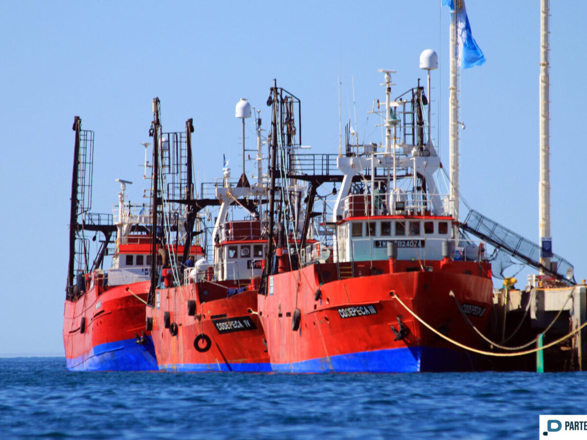 Langostino: Patronales y el SOMU profundizan la grieta en las puertas de la temporada