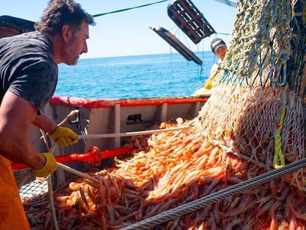 Baragiola reclamó que la pesca sea incorporada a la baja de retenciones: «No puede seguir siendo el sector olvidado»