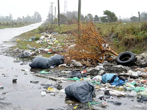 Avanza proyecto que impulsa multas más duras y denuncias de vecinos contra los microbasurales