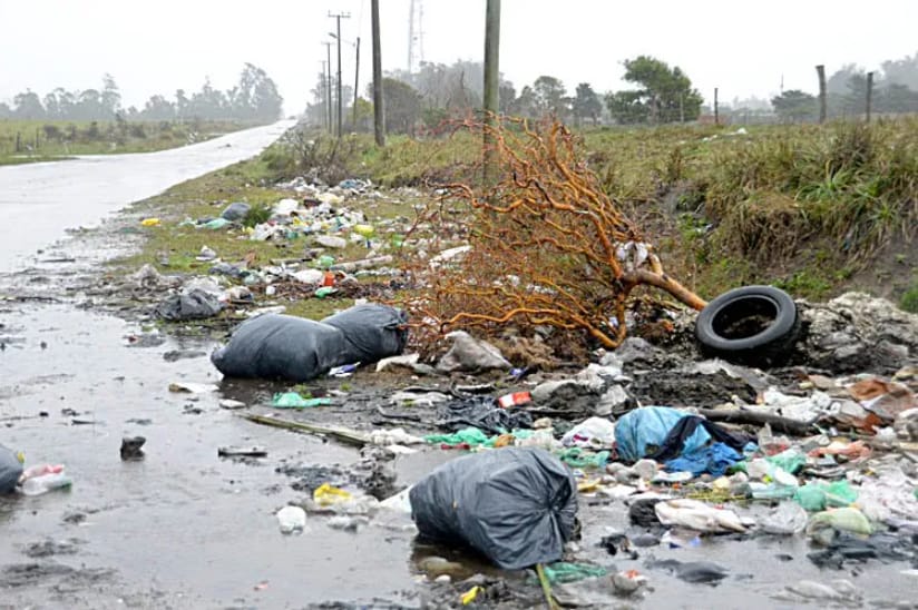 Avanza proyecto que impulsa multas más duras y denuncias de vecinos contra los microbasurales