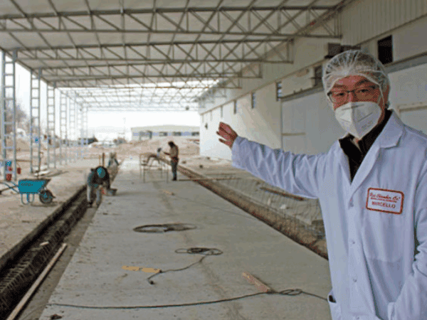 Sale Red Chamber, entra Profand y un acuerdo que alimenta nuevas/viejas tensiones