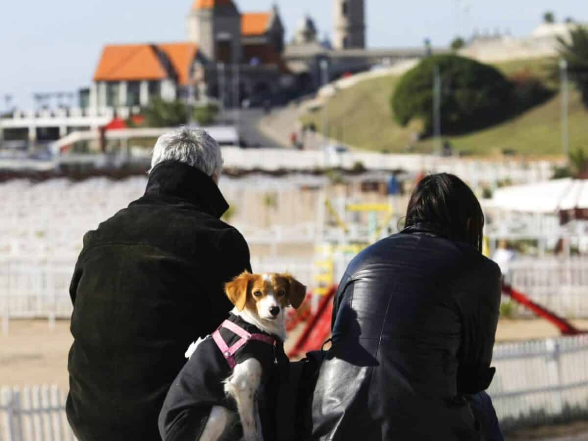 Jueves fresco y algo nublado en Mar del Plata