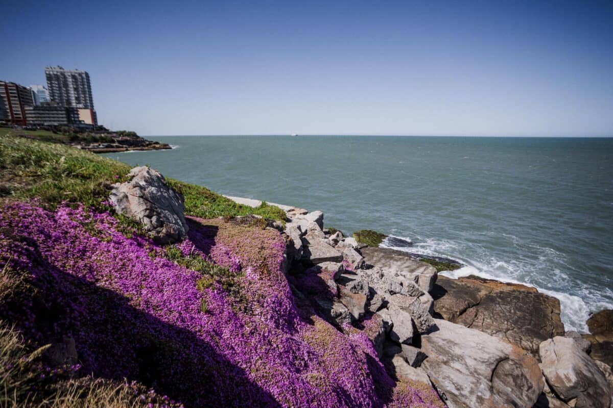 Viernes soleado y templado en Mar del Plata: máxima 19°