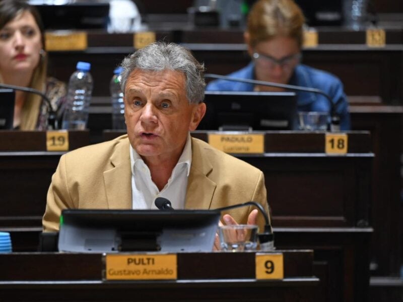 Pulti: «se aprobaron en la Legislatura el Presupuesto y la Ley Fiscal para 2026. Un paso adelante, pero falta»