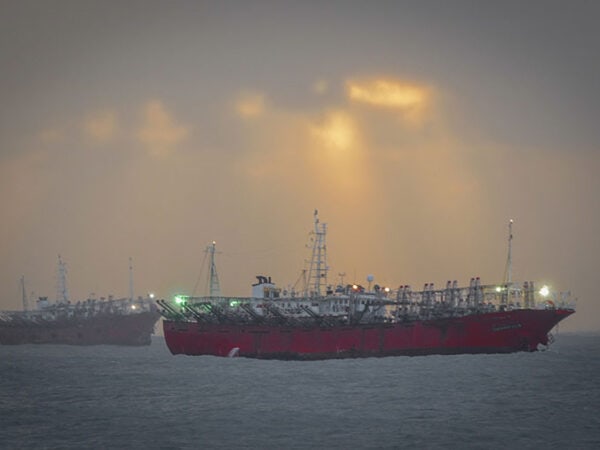 La bonanza del calamar y el plan libertario para monetizarlo con nuevos permisos