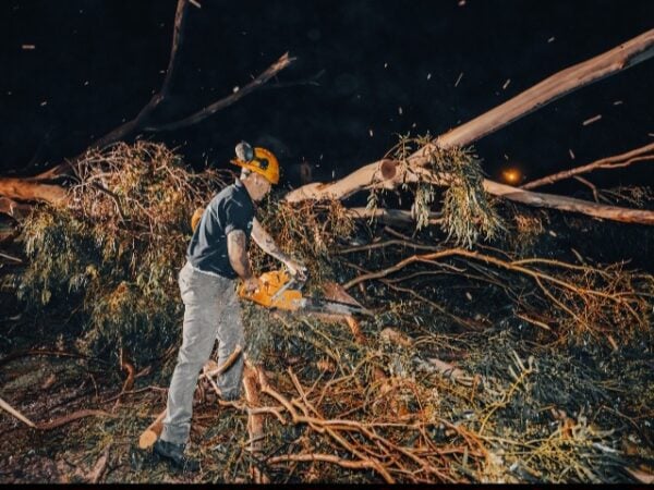 Sierra de los Padres, Batán, Bosque de Peralta Ramos y la costa, los sectores más afectados por el temporal