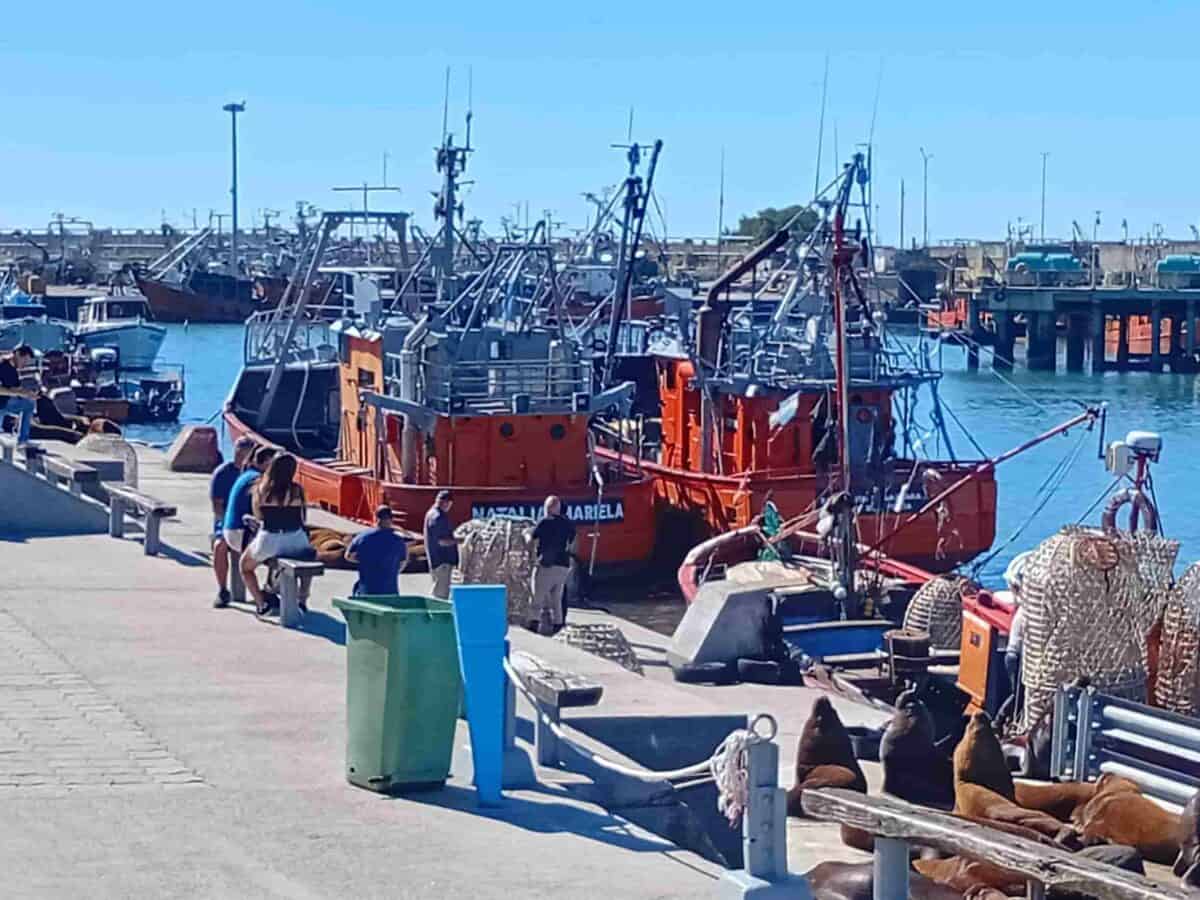 Flota pesquera al límite: sin respuestas del Gobierno y bajo un esquema monopólico de combustible, crece el riesgo de parálisis en Mar del Plata