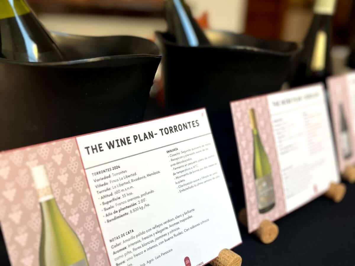 Encuentro entre el cine y el vino “Entre Copas” trae una experiencia sensorial