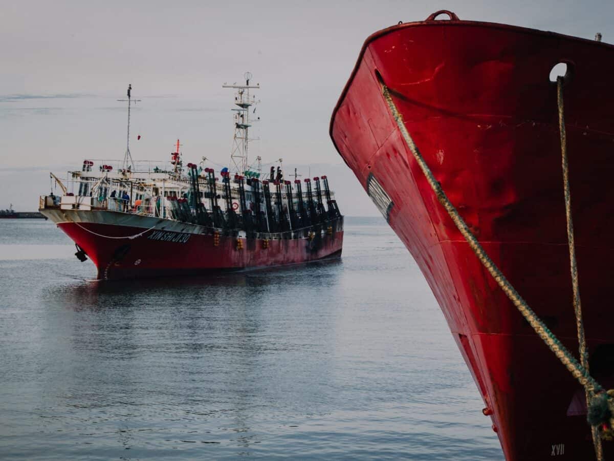 El puerto de Mar del Plata alcanzó en 2025 la cifra de descarga de pescado más alta en una década