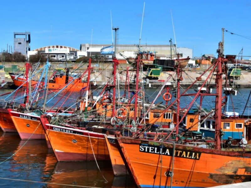 Frente a la crisis pesquera, Pulti señaló que «Milei debe proteger y no abandonar nuestras industrias»