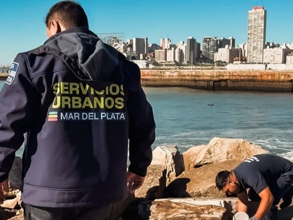 La Municipalidad realizó operativos de limpieza y desratización en zona costera