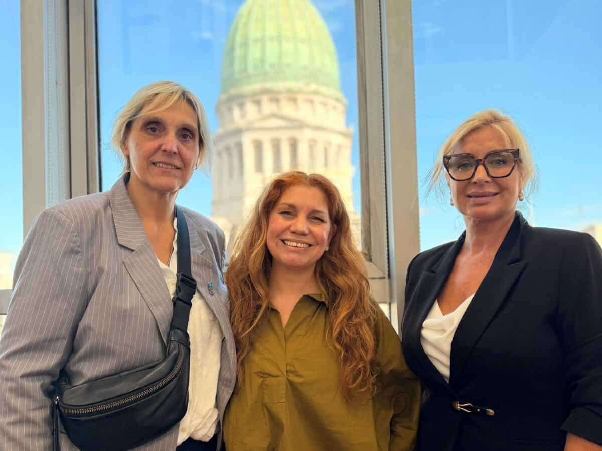 Concejales radicales aportaron propuestas sobre la Ley de Salud Mental